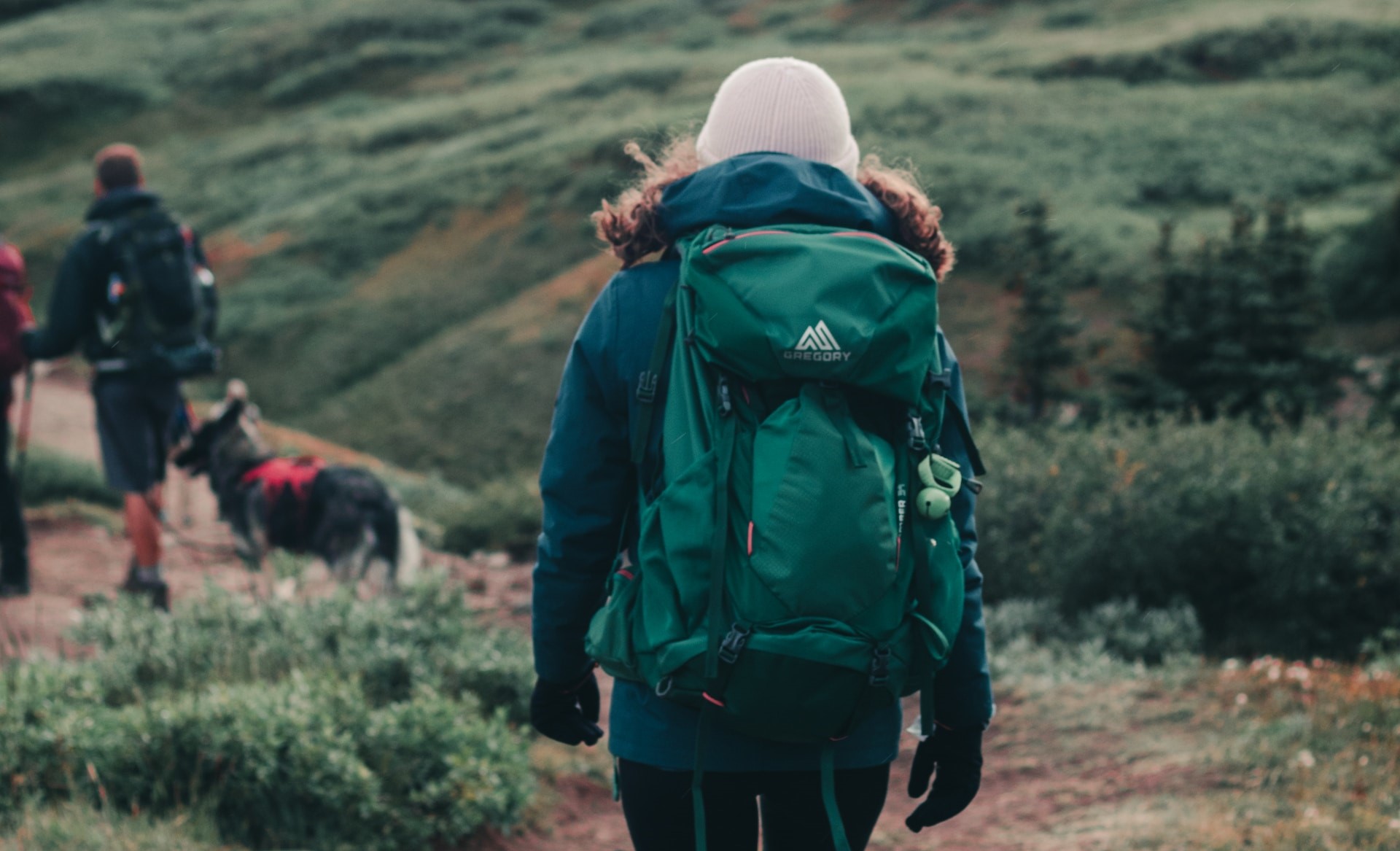 Udeliv Gear -Udeliv Gear ali kazal bHaul6CsZRo unsplash